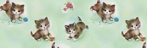 osnapitzrobinn's profile banner image