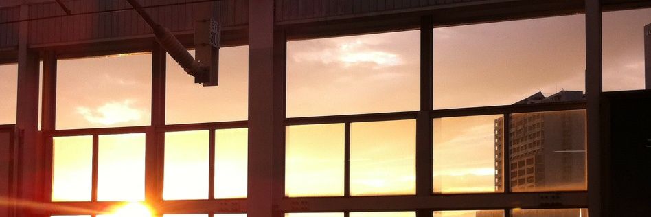 野薔薇🌱🦒 banner