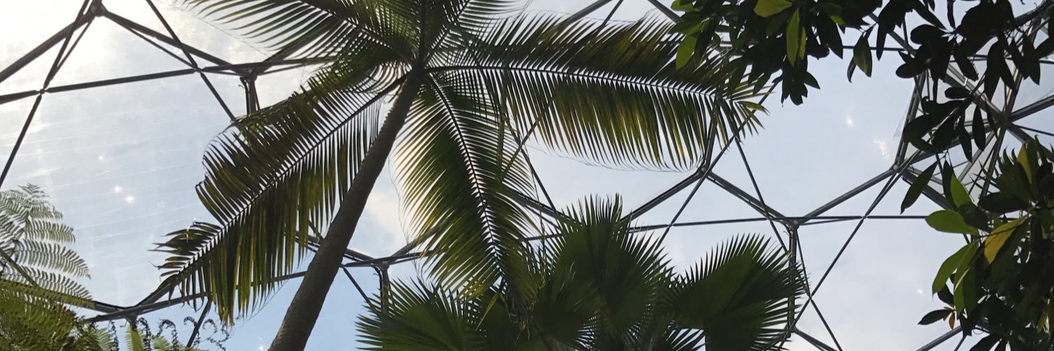 zac4wba's profile banner image