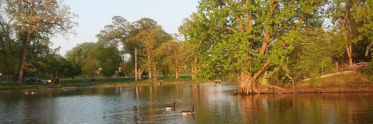 Mrsfellowship's profile banner image