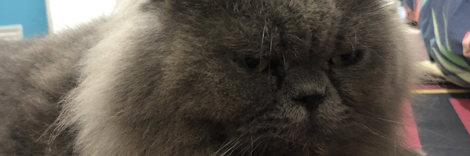 suhartoanton's profile banner image