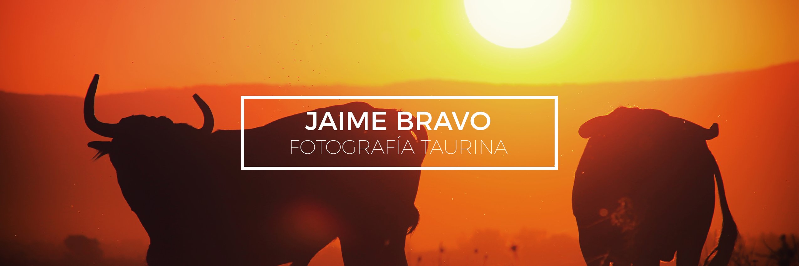 bravotoros's profile banner image