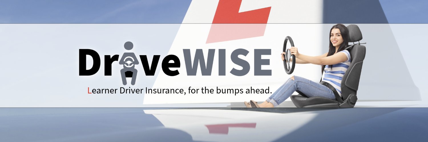 DriveWiseInsure's profile banner image