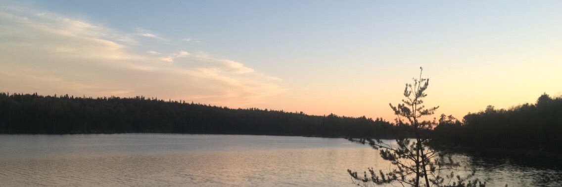 morganstover56's profile banner image