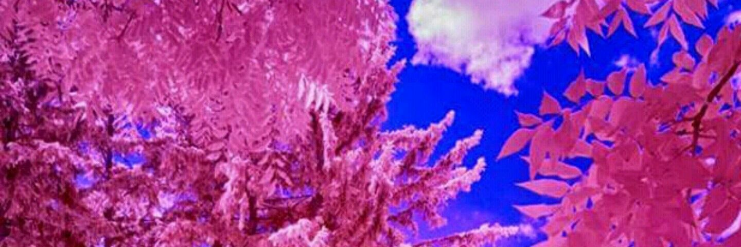 ItsMeRJB's profile banner image