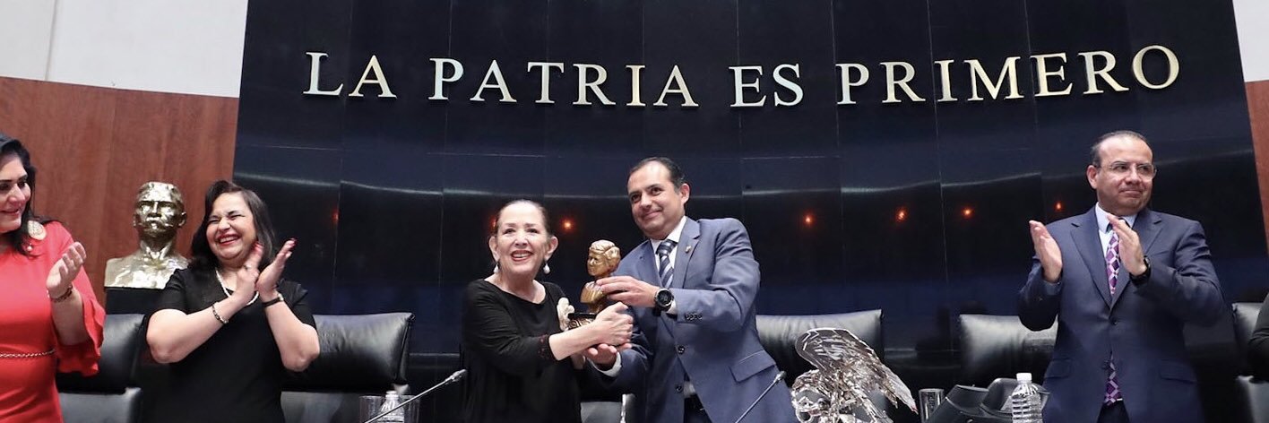 Maria Elena Chapa banner