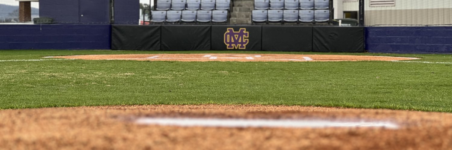 MCHS Baseball banner