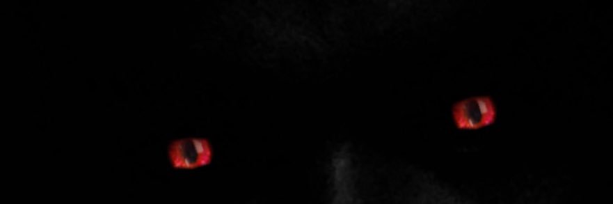 andygordon2913's profile banner image