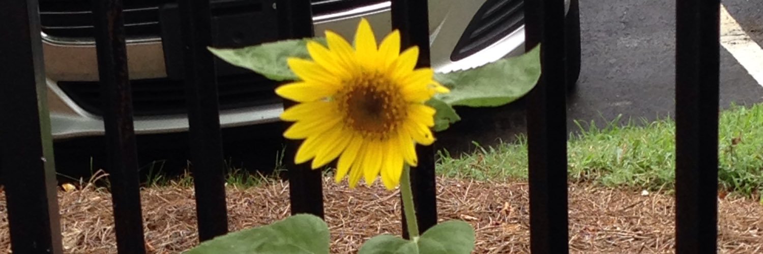 karalynn718's profile banner image