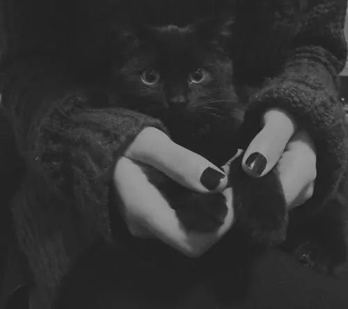 KeyPautt's profile banner image