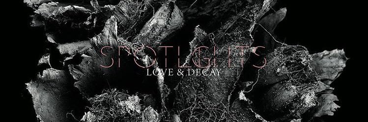 Spotlightsband's profile banner image