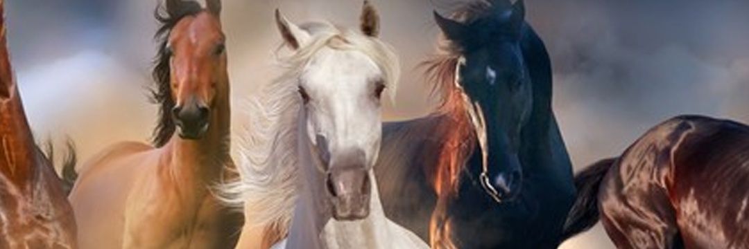 mhz255's profile banner image