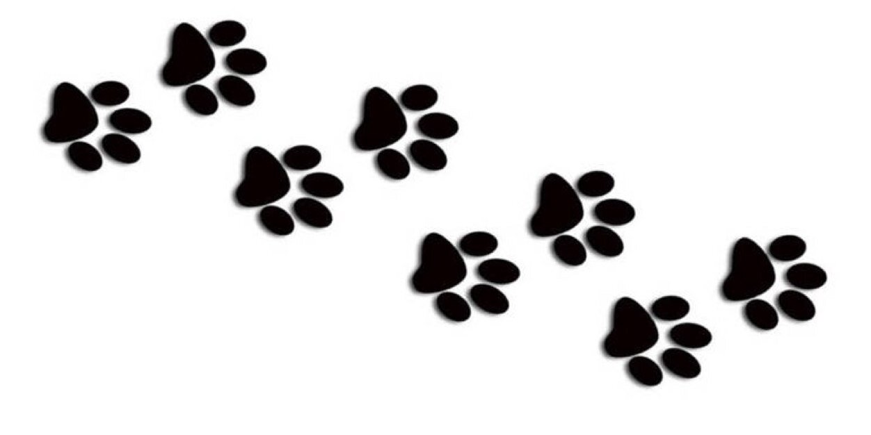 Kearney Yearbook banner