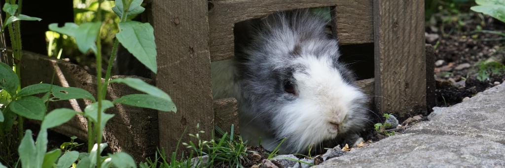 buntstift12345's profile banner image