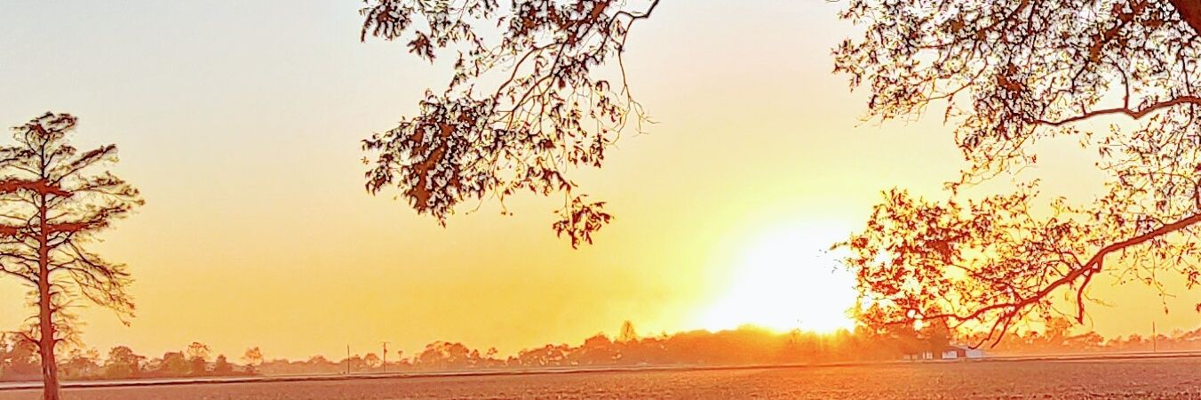 PoloniumSilver's profile banner image
