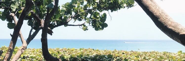 _meganconrad_'s profile banner image