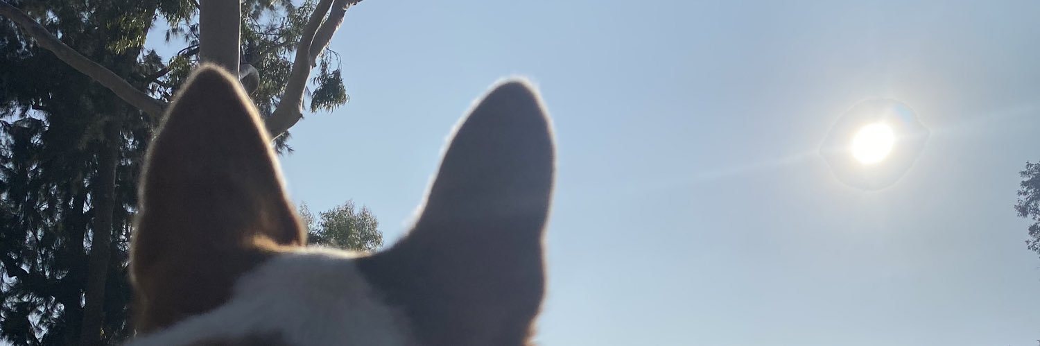 Bernietheginger's profile banner image