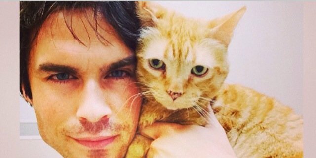 loucaporian's profile banner image