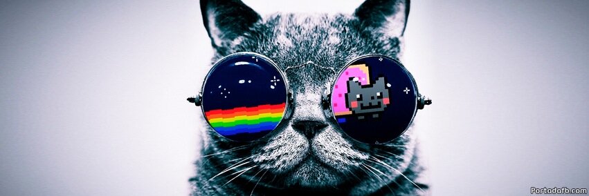 ChicOdioso's profile banner image
