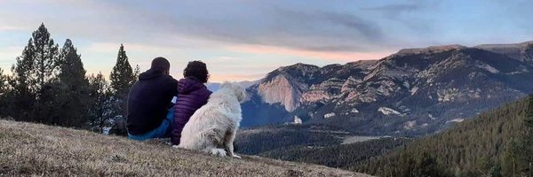 refugirasos Profile Banner