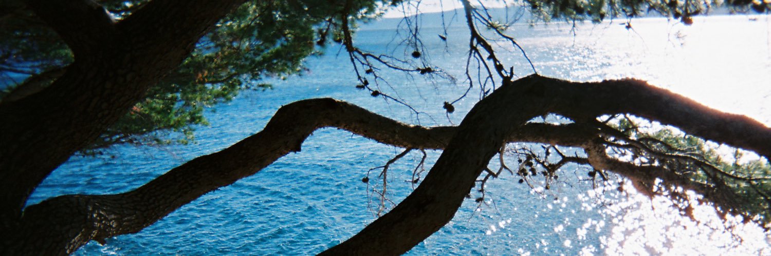 zuc13's profile banner image