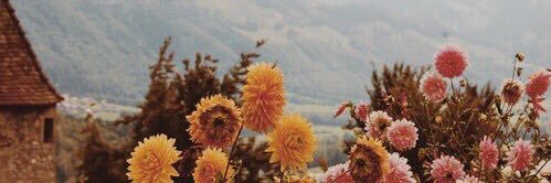 ASTRIE M!🍉 banner