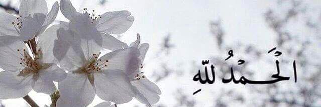 AbdELfattah ELgohary banner