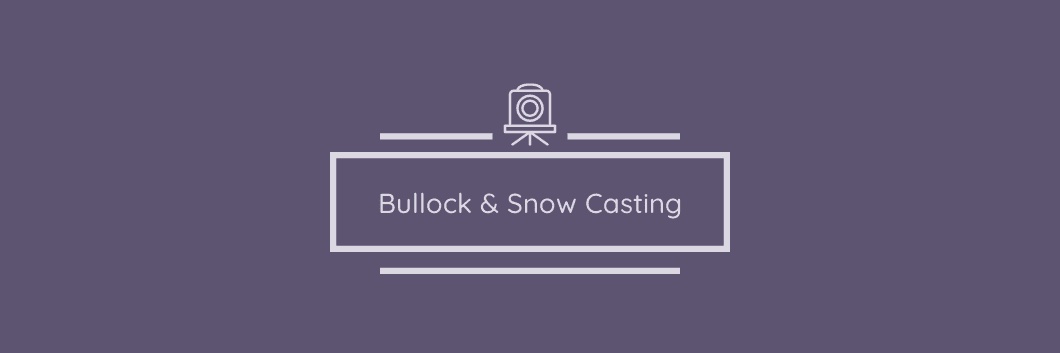 Bullock&SnowCasting banner