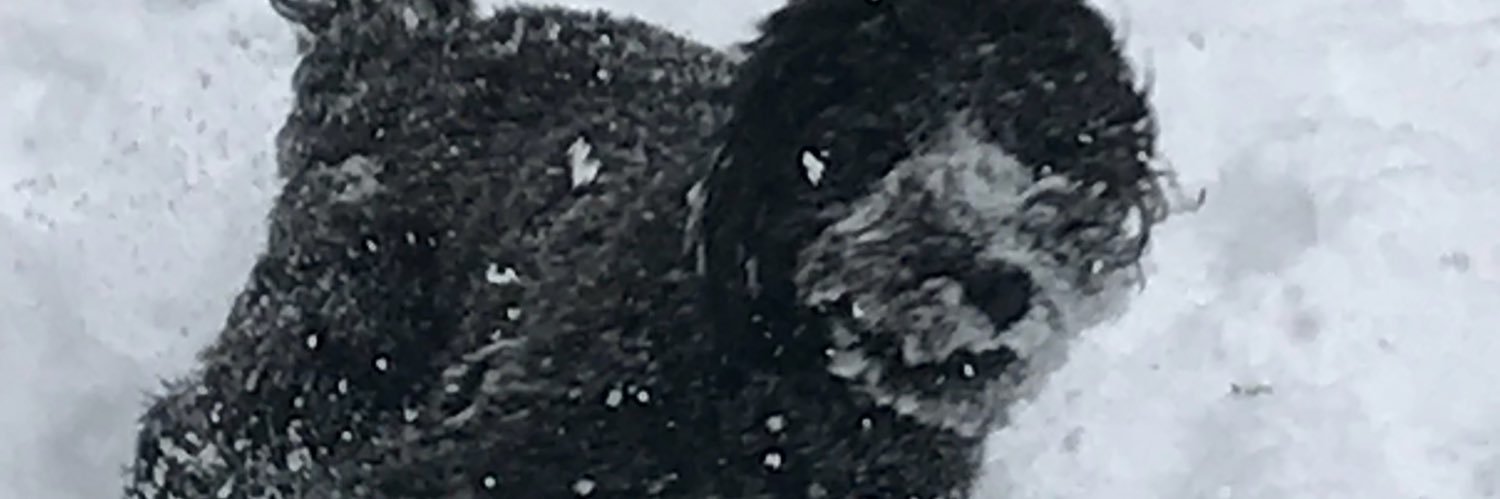 DuncanBaldwin's profile banner image