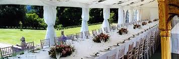 QueenBeeRentals's profile banner image