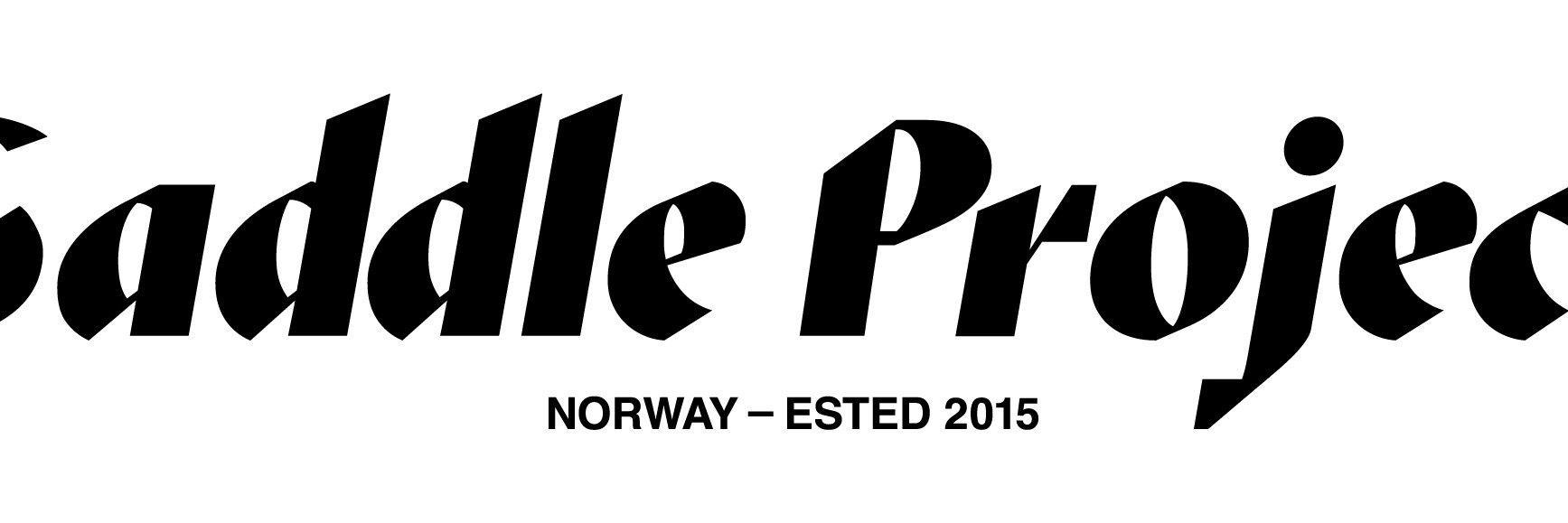 Saddle_Project's profile banner image