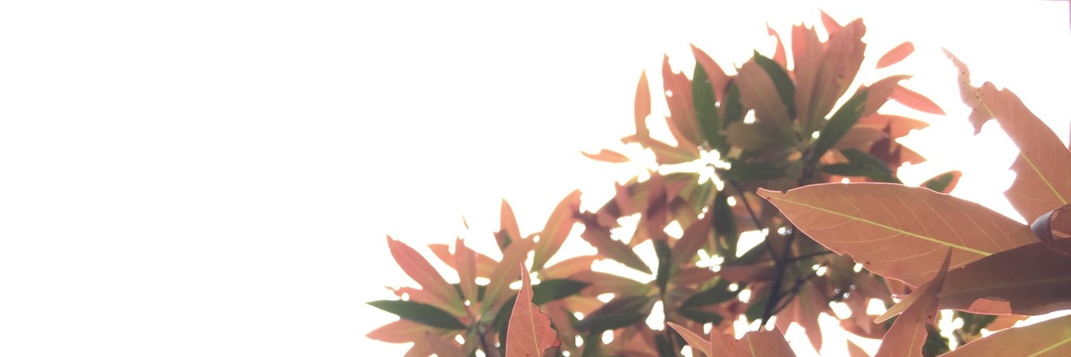 insertasyouwant's profile banner image