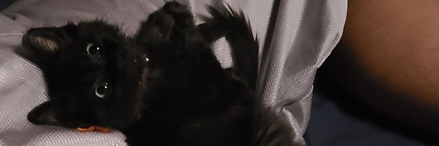 SpoopyDidIt's profile banner image