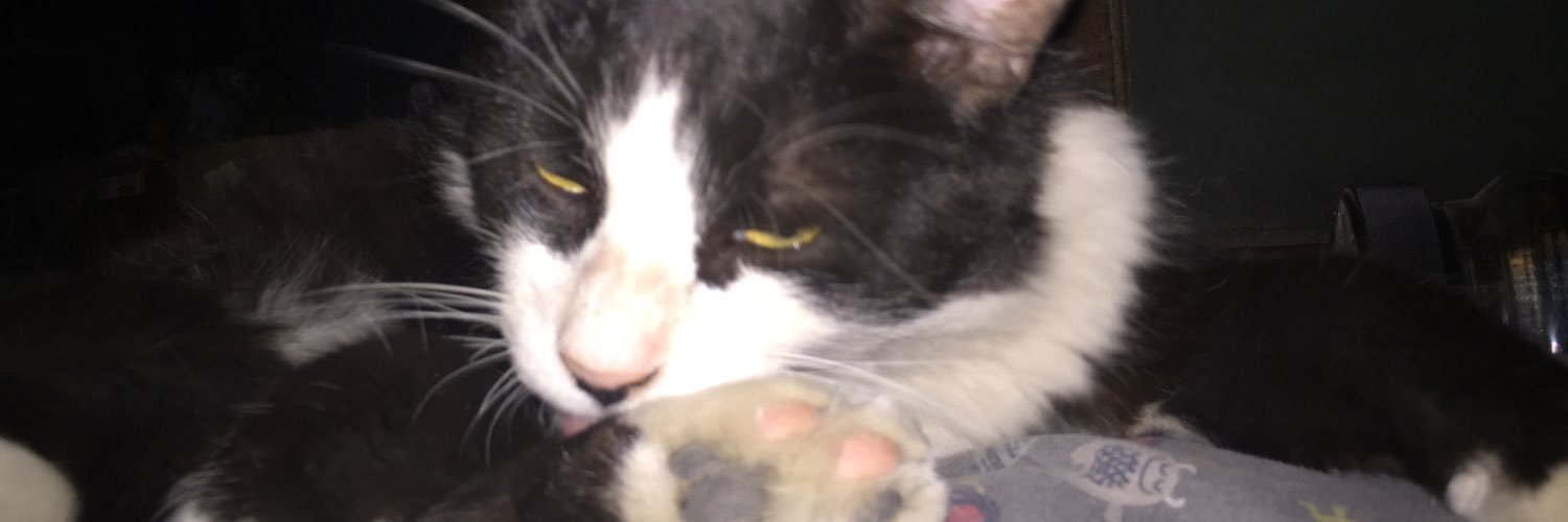 juandemille's profile banner image