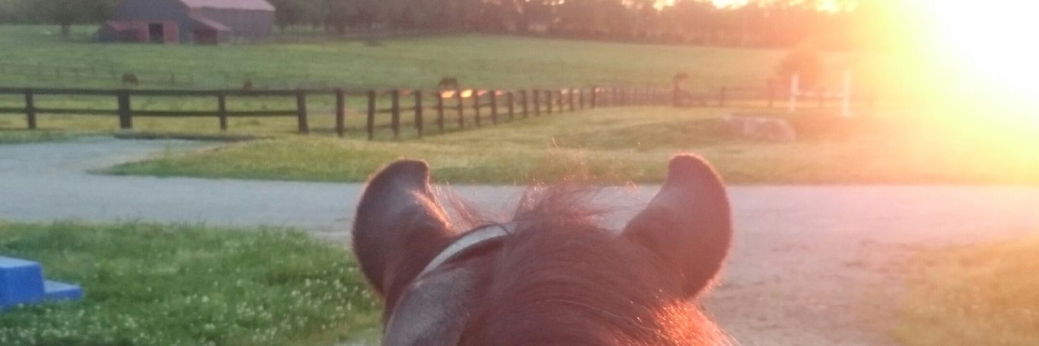 Leslie's Discount Tweet Emporium banner