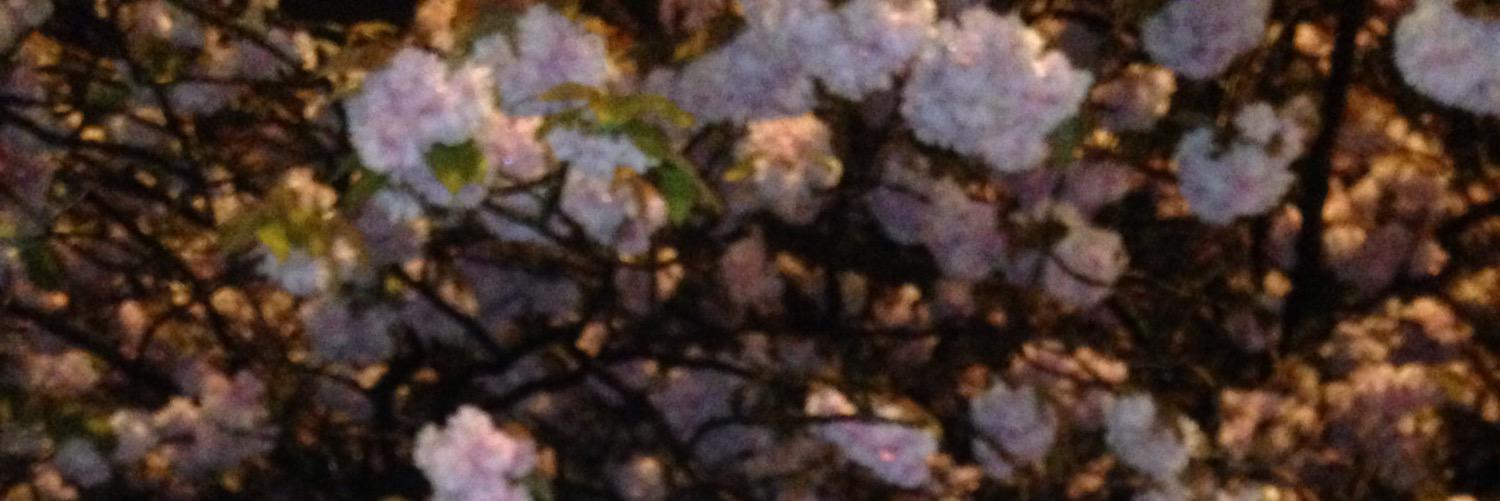 grendelsparent's profile banner image