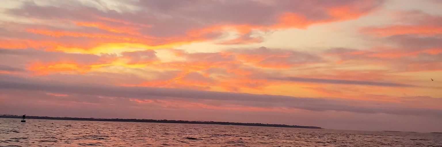 AdrienneGold's profile banner image