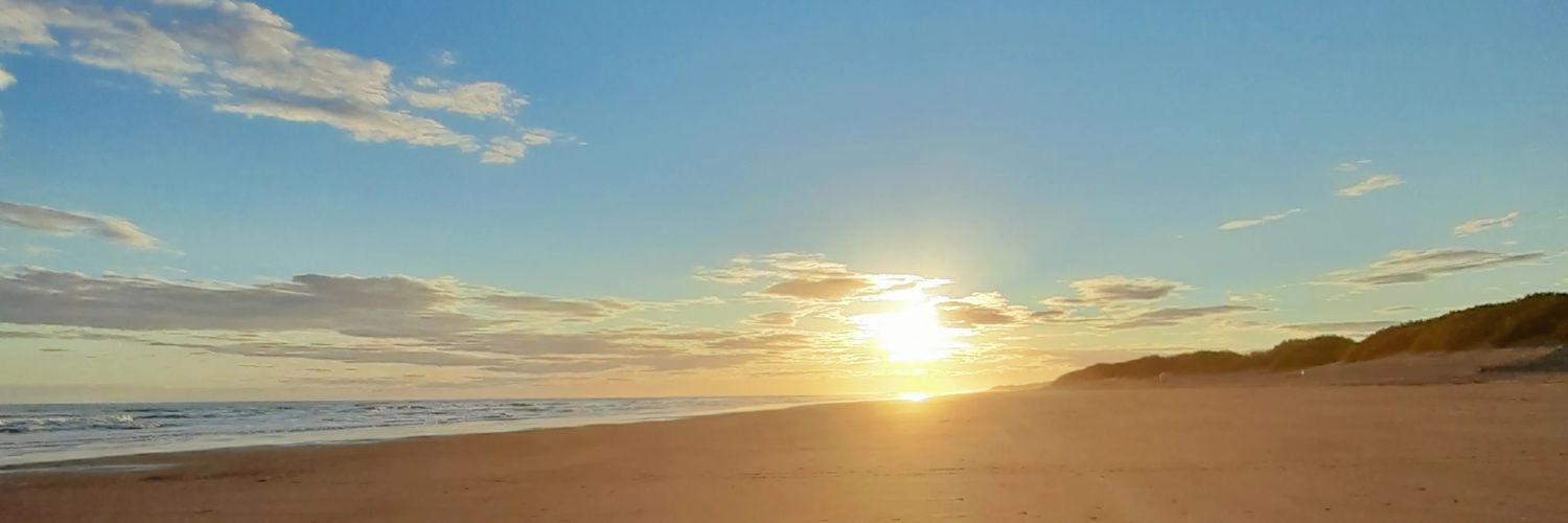 Guille banner