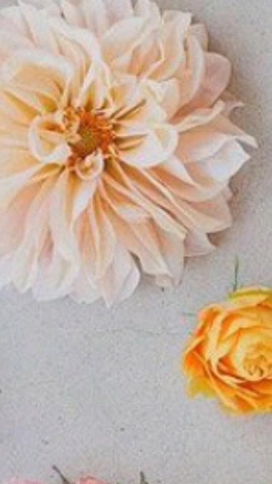 linlinlinn's profile banner image