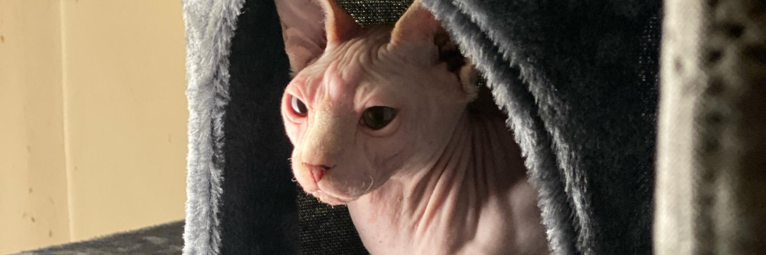 duquedearmas's profile banner image