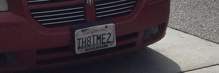 Michelle Catalano banner