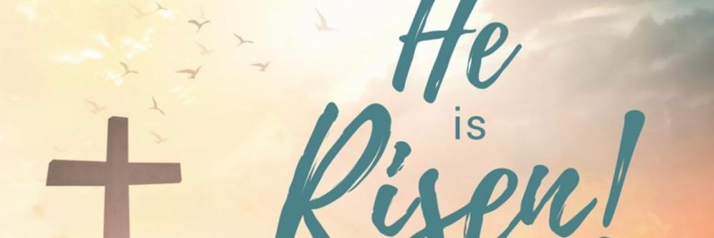 Gonzalo Chacon banner