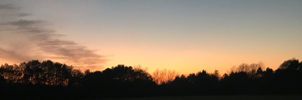 nickharrison85 Profile Banner