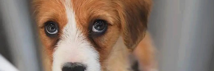 capatys's profile banner image