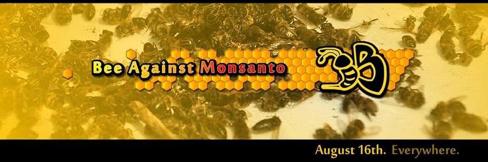 bamonsanto's profile banner image