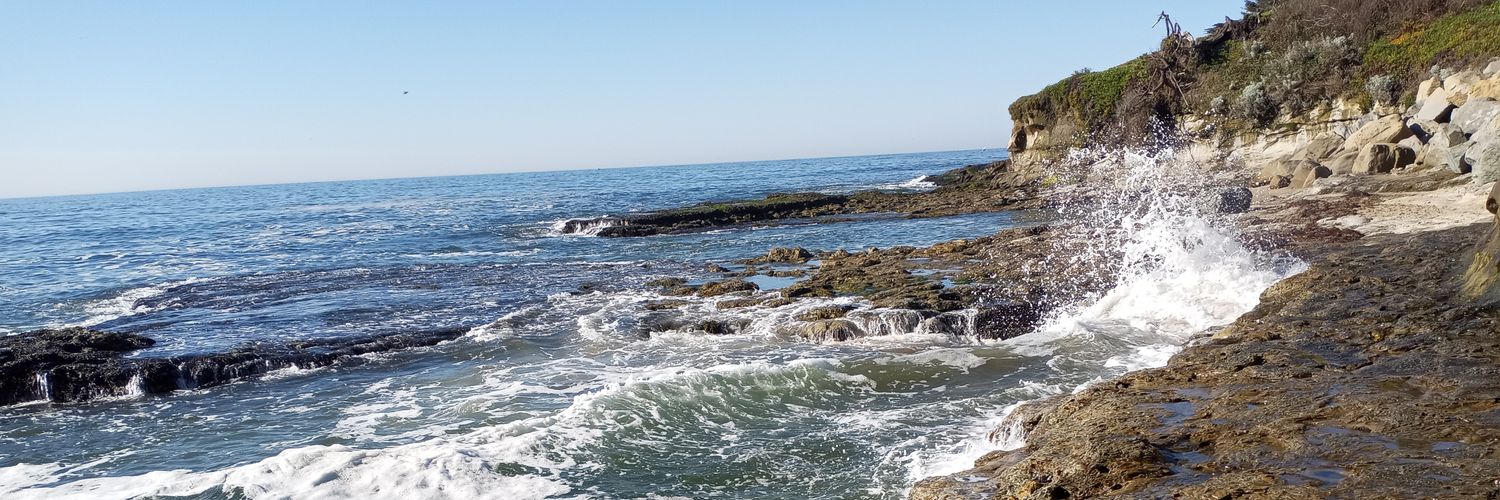 SantaCruzNativ's profile banner image