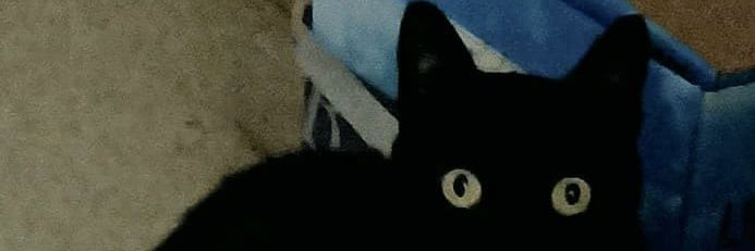 VirtualHilo's profile banner image