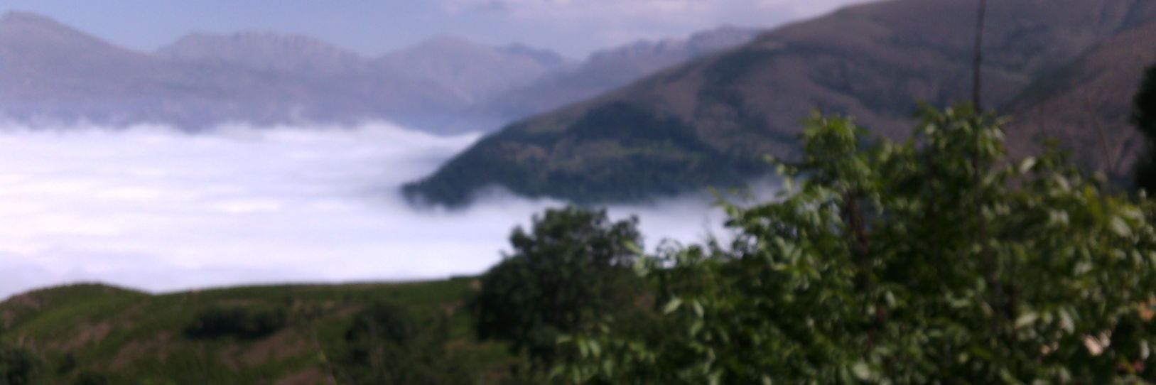 qsseza's profile banner image