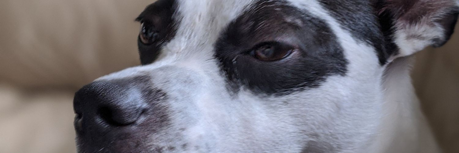 🌹🔥😙 Keith 🇺🇦🇺🇲🌹 banner