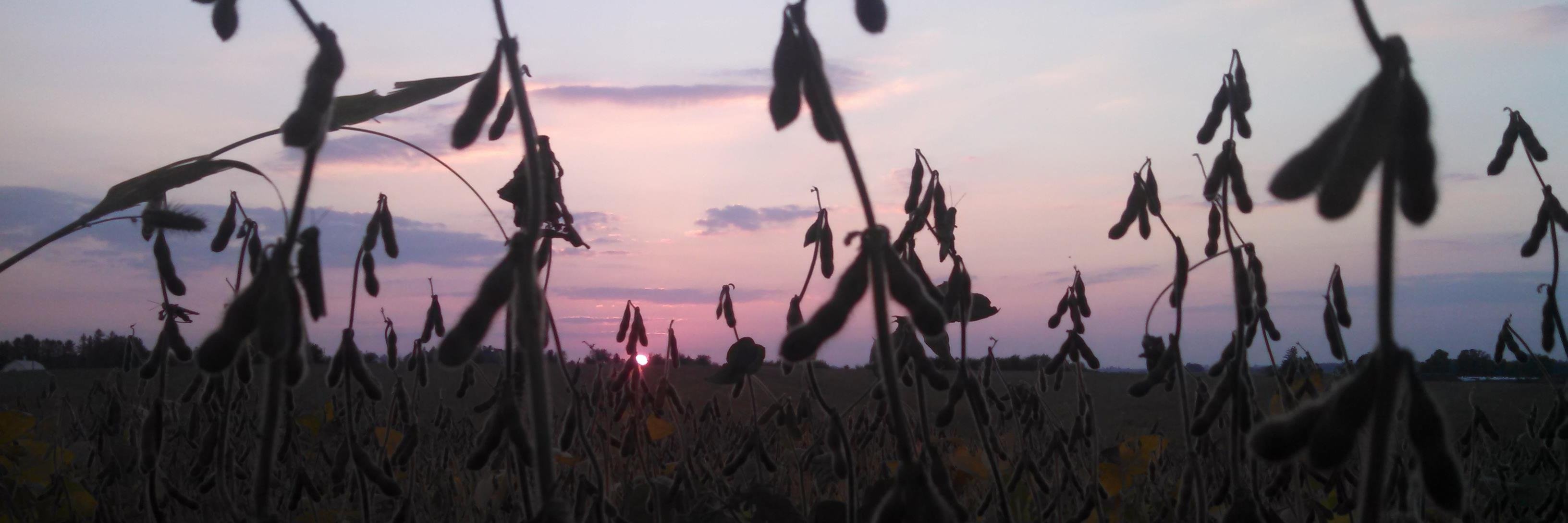 ReginaV009's profile banner image